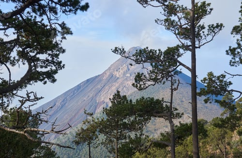Preview: Scenic mountain view with trees in the foreground under a clear sky