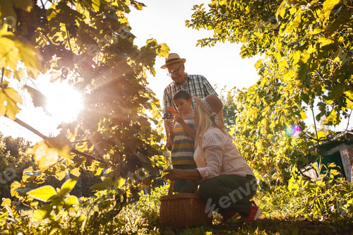 Preview: Grandparents and grandson