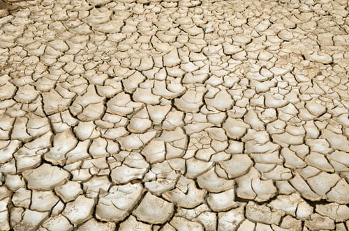 Preview: Global Warming Concept Of Cracked Ground