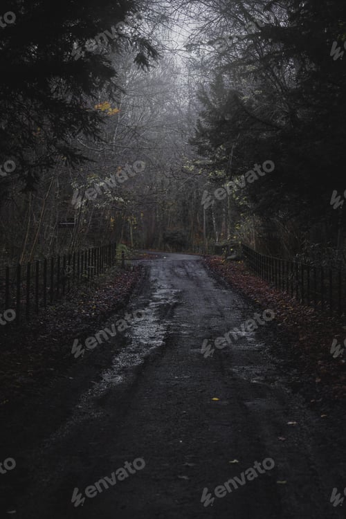 Preview: Winding road in a dark and foggy forest at night, illuminated by a faint light