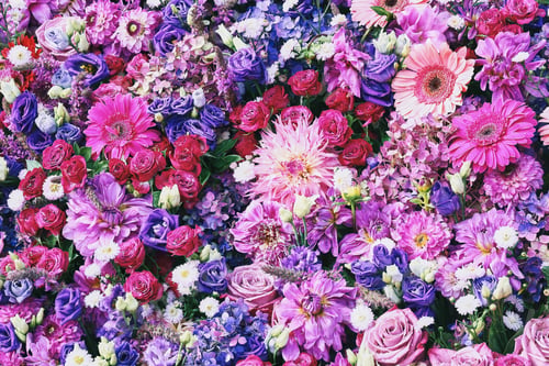 Preview: Vibrant Floral Arrangement of Roses and Hydrangeas.