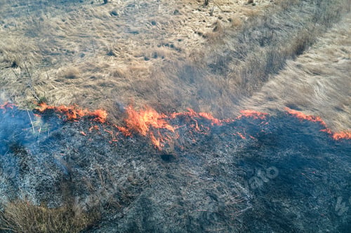 Preview: Aerial view of grassland field burning with red fire during dry season.