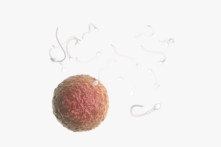 Preview: Human Fertilization Scene