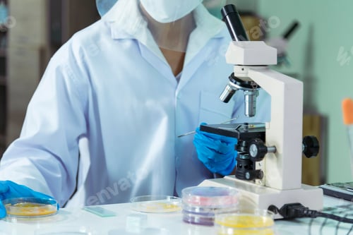 Preview: Scientist teams consult together with biochemistry plants tissue culture biotechnology science