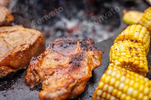 Preview: Delicious meat steaks and vegetables on the grill in the garden close-up,