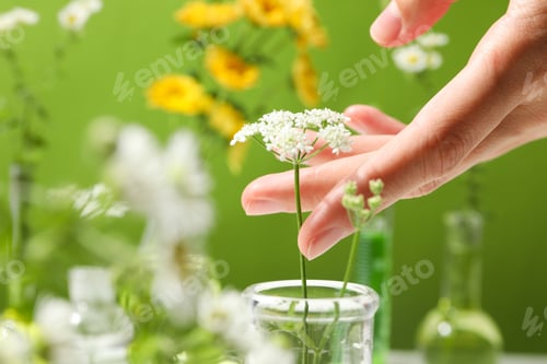 Preview: Test tubes and flowers, Herbal medicine, concept of herbal medicine research
