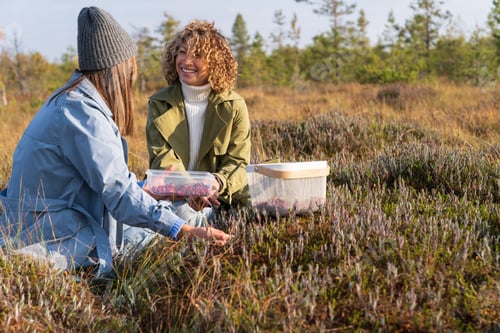 Preview: Two young cheerful girls spending weekend in countryside picking autumn berries and communicating
