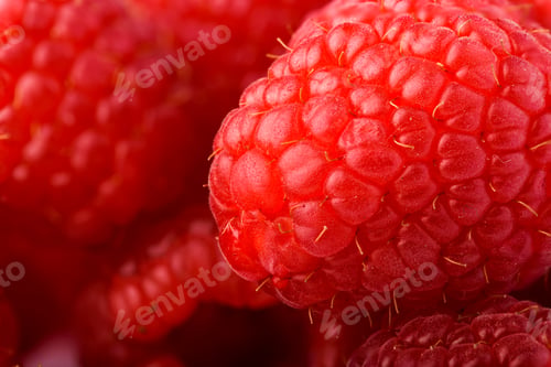 Preview: Raspberries white background
