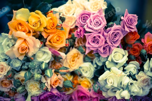 Preview: Many colors of roses at a flower stand