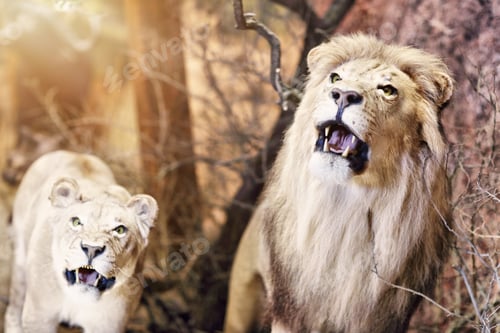 Preview: Wild animals exhibition