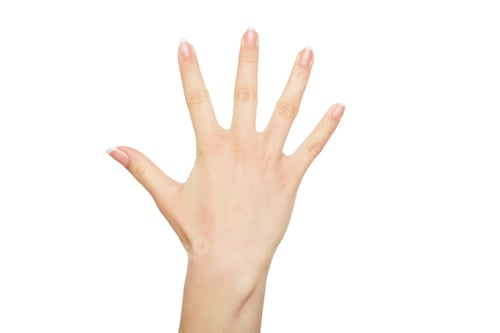 Preview: Female hand with french manicure, crop, cutout