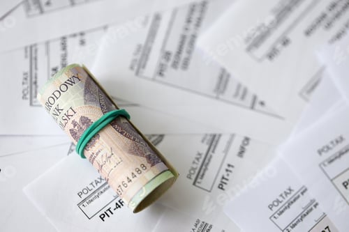 Preview: Polish zloty money PLN on big amount of polish PIT, CIT and VAT tax forms close up