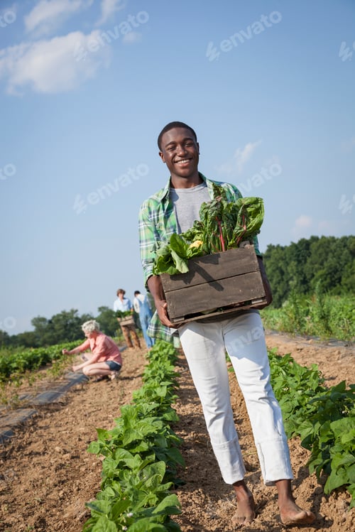 Visualização: Um menino segurando uma grande caixa de madeira com legumes frescos, colhidos dos campos.