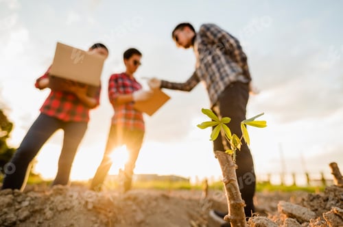 Preview: Team of farmers conducting research on plants and soil by using plantations for quality agriculture.