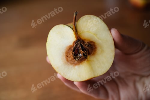 Preview: half an apple with rotten core in hand. concept of fake identity. hidden mental health issues