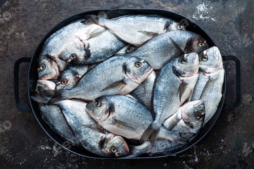 Preview: Fish. Fresh sea bream. Raw dorado fish