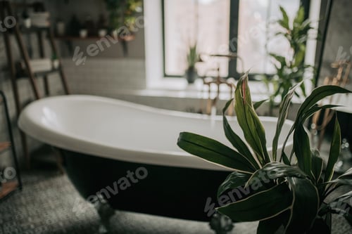 Preview: Luxury interior of eco style modern bathroom with oval bathtub and accessories at natural lighting