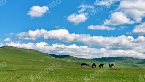 Preview: Horses
