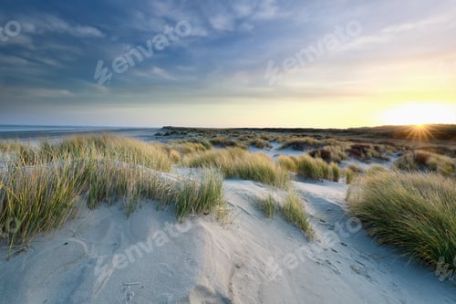 Preview: sunrise over sand dunes by north sea coast
