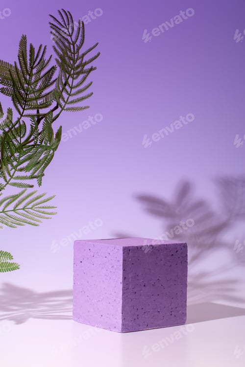 Preview: Empty podium or stand for product showcase, plant and shadow on violet background
