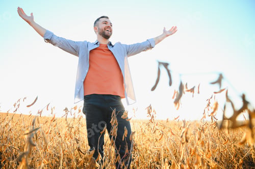 Preview: A farmer inspects a soybean field. The concept of the harvest