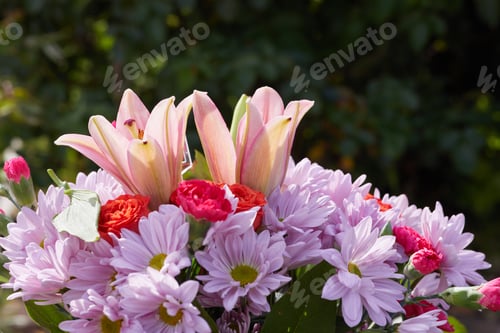Preview: Fresh flowers purple and red