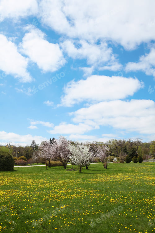 Preview: Spring weather