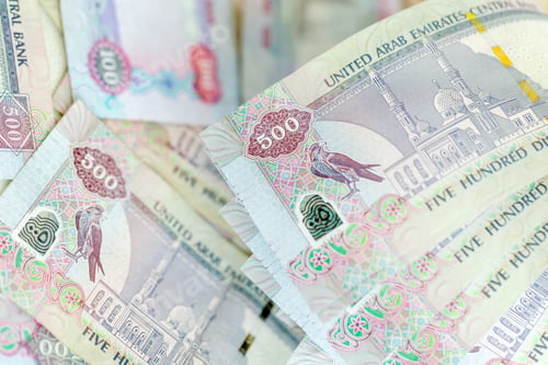 Preview: UAE dirhams, paper money, closeup view