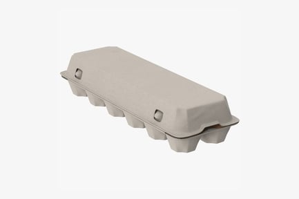 Preview: Closed Egg Carton: Standard Dozen