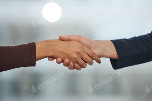 Preview: Two successful businesswomen shaking hands in office standing against big window