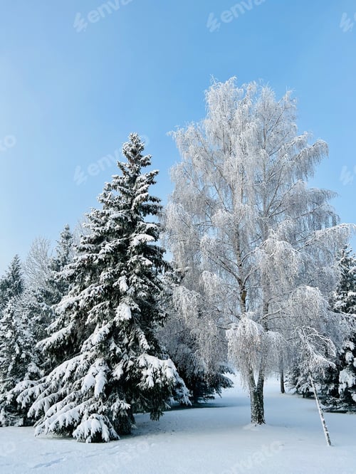 Preview: Winter
