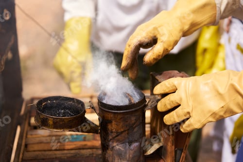 Preview: A man preparing smoke to calm the bees while checking the honey in the frames