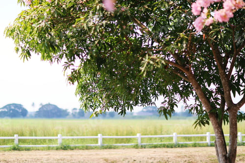 Preview: Landscape country farm