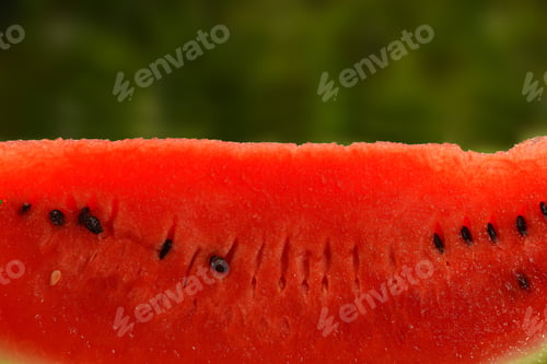 Preview: Close up slice of fresh red watermelon over green