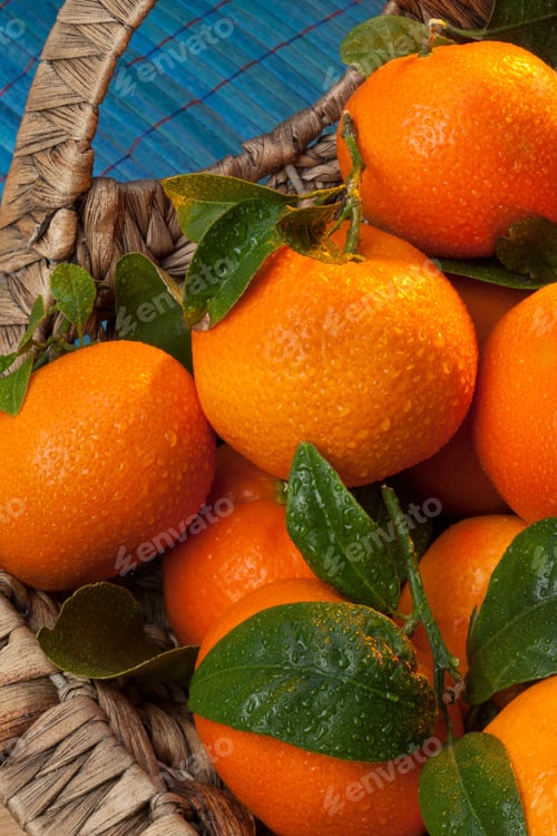 Preview: Mandarin oranges