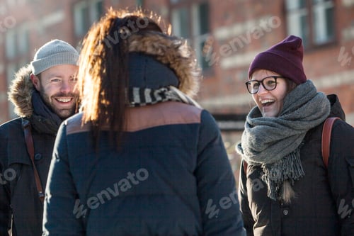 Preview: Friends sharing a laugh on a sunny winter day