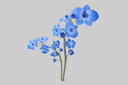 Preview: Blue Orchid