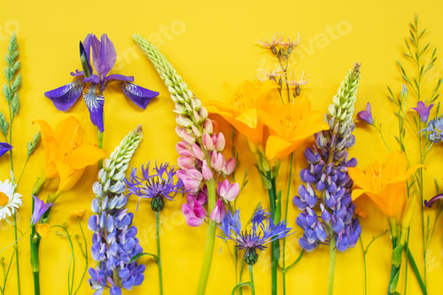 Preview: Summer Bright Composition with Flowers