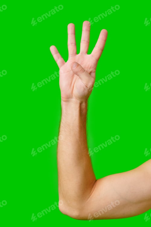 Preview: Person Holding Up Four Fingers Against Bright Green Background