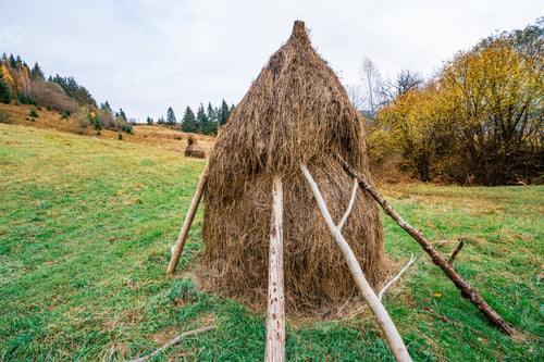 Preview: A large number of haystacks in a green meadow with cloudy weather