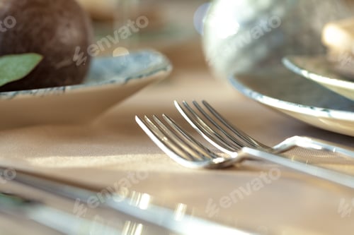 Preview: Silver cutlery on table top with tablecloth
