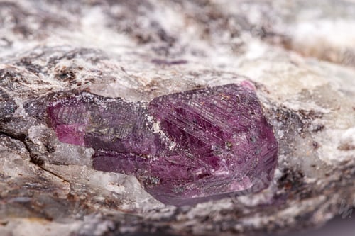 Preview: macro mineral stone ruby on a white background