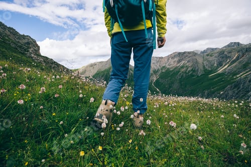 Preview: Successful woman backpacker hiking on alpine mountain top