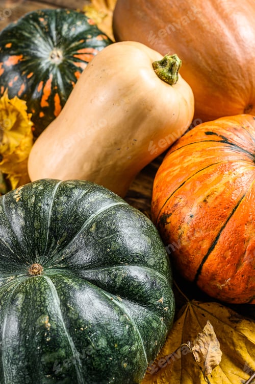 Preview: Autumn pumpkin frame in Halloween colors orange. Wooden background. Top view