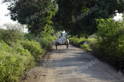 Preview: View of a carriage with white sacks on a narrow rural road