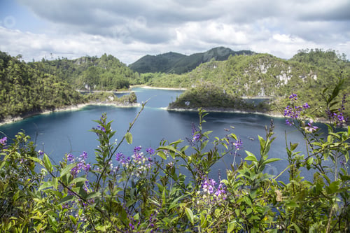 Preview: Beautiful purple flowers and the lake of Montebello, Chiapas, Mexico in the background