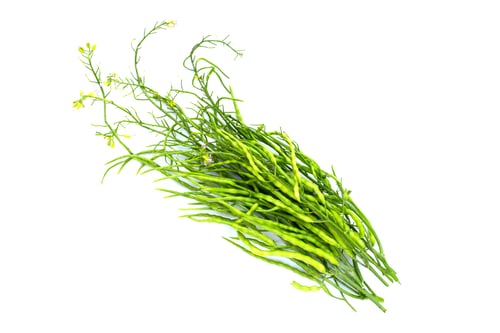 Bundle of Green Seedpods with Yellow Flowers