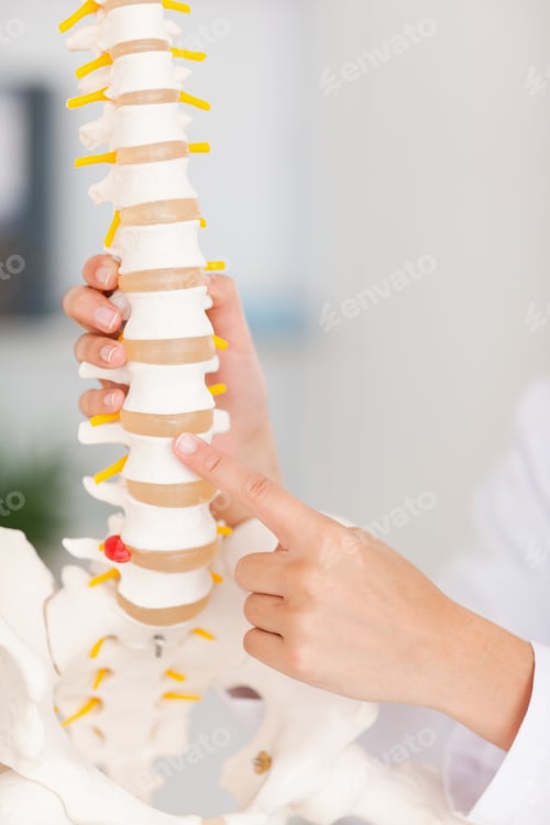 Preview: A finger pointing at bone in spine