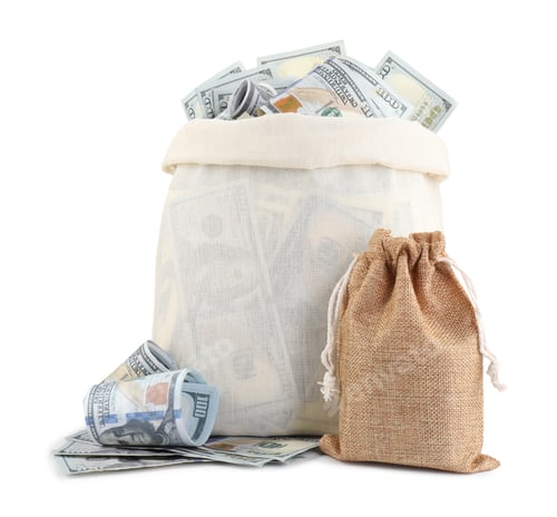 Preview: Money bags with dollar banknotes isolated on white