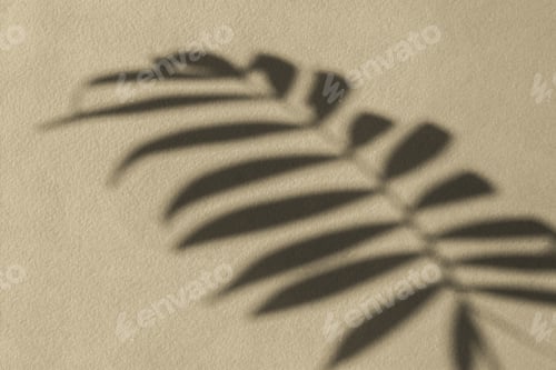 Preview: Shadows nature beige gray background